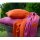 Decke Elephants Pink/Orange von Lenz&Leif