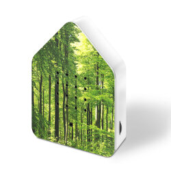 Zwitscherbox Motiv Wald von Relaxound