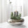 Vase Delphi vernickelt von Fink Living / 2 Größen