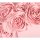 Kissenhülle Floral Rosa 30x50cm von PAD
