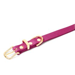 Hundehalsband Butter Flamingo von Molly & Stitch Gold/S