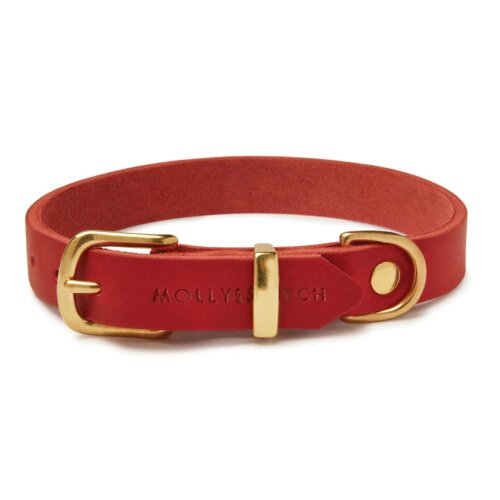 Hundehalsband Butter Chili von Molly & Stitch Gold/S