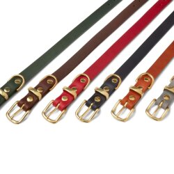 Hundehalsband Butter Chili von Molly & Stitch Gold/S