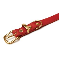 Hundehalsband Butter Chili von Molly & Stitch Gold/S