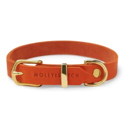 Hundehalsband Butter Mango von Molly & Stitch XS