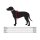 Hundegeschirr Butter Waldgrün von Molly & Stitch / Varianten