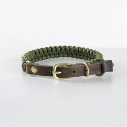 Hundehalsband Touch of Leather Oliv von Molly &...