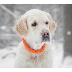 Hundehalsband Touch of Leather Orange von Molly & Stitch / Varianten