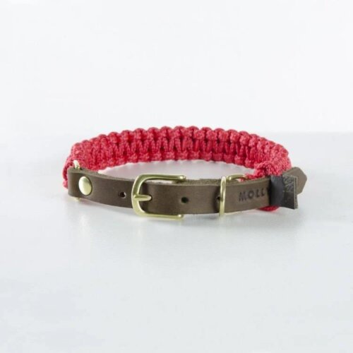 Hundehalsband Touch of Leather Rot von Molly & Stitch / Varianten