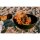 Grillset Bowl 70 mit Sternfuss von höfats
