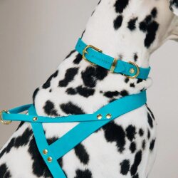 Hundehalsband Butter Fiji Blau von Molly & Stitch /...