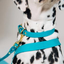 Hundehalsband Butter Fiji Blau von Molly & Stitch / Varianten