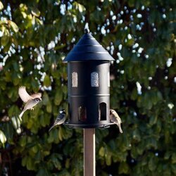 Futterstation Gigant Schwarz von Wildlife Garden