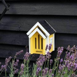 Schmetterlingskasten Gelb von Wildlife Garden