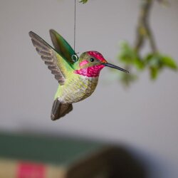 Deko Vogel Annakohlibri von Wildlife Garden