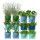 Aufbewahrung VertiPlants Mini von Verti Laubgrün